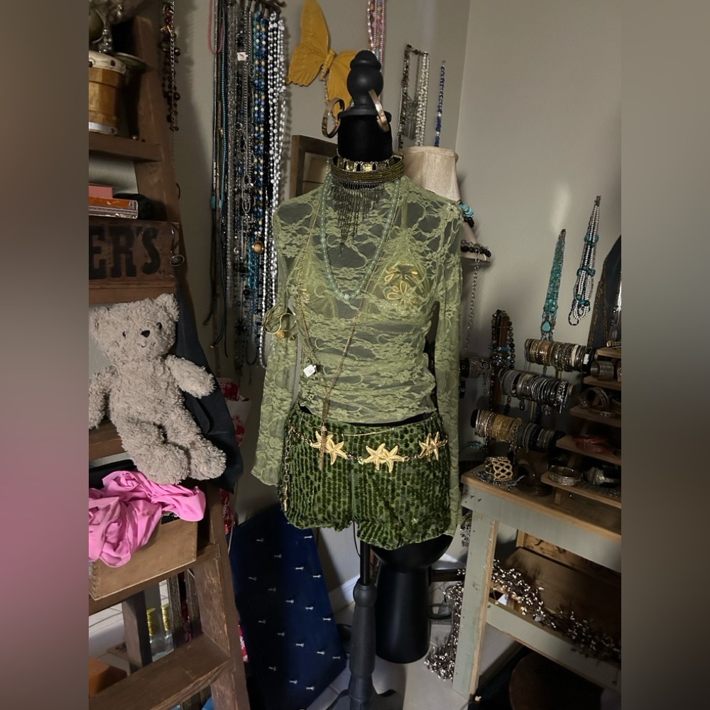 NWOT Sage Green Lace long sleeve Top